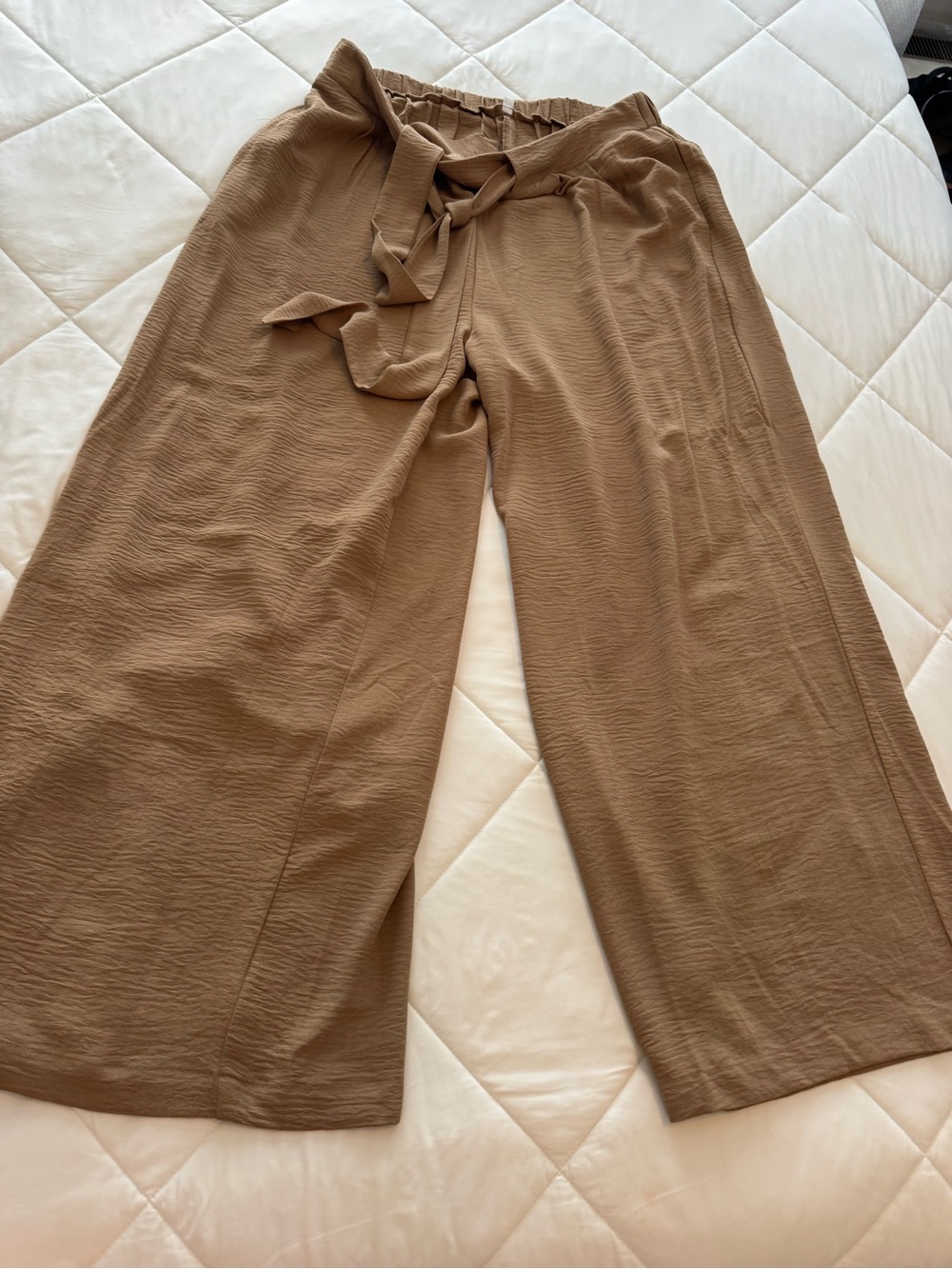 Wide Leg Tie-Waist Pants in Brown